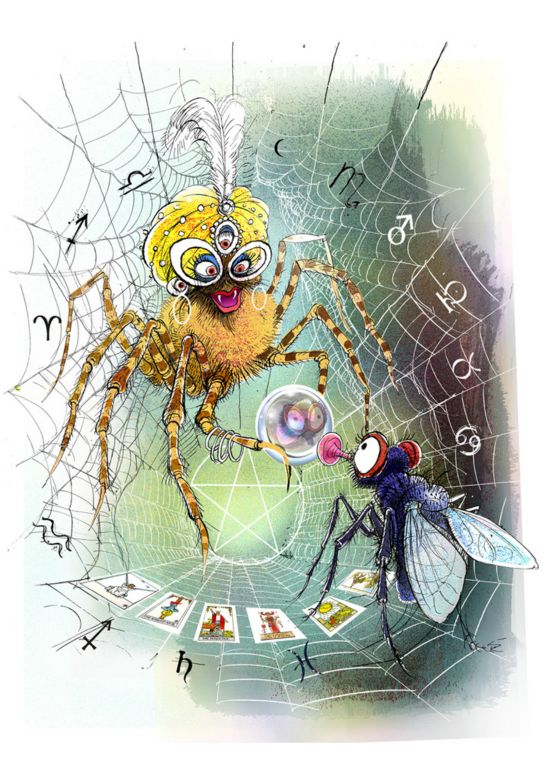 Stinky meets a fortune telling spider